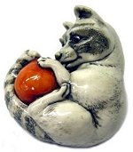 Raccoon